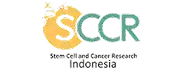 LOGO PT SCCR